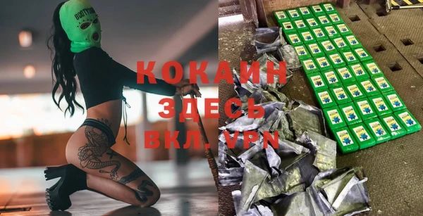 винт Абаза