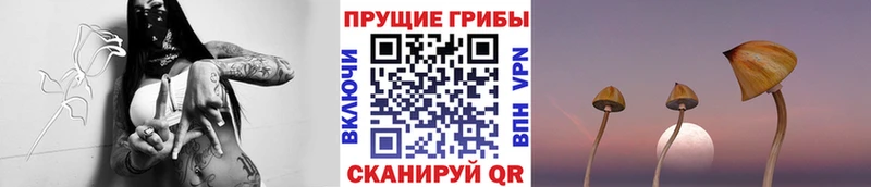 Галлюциногенные грибы мицелий  blacksprut   Яхрома 